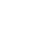 phone_icon